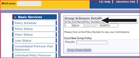 Term insurance Policy number in LIC Login